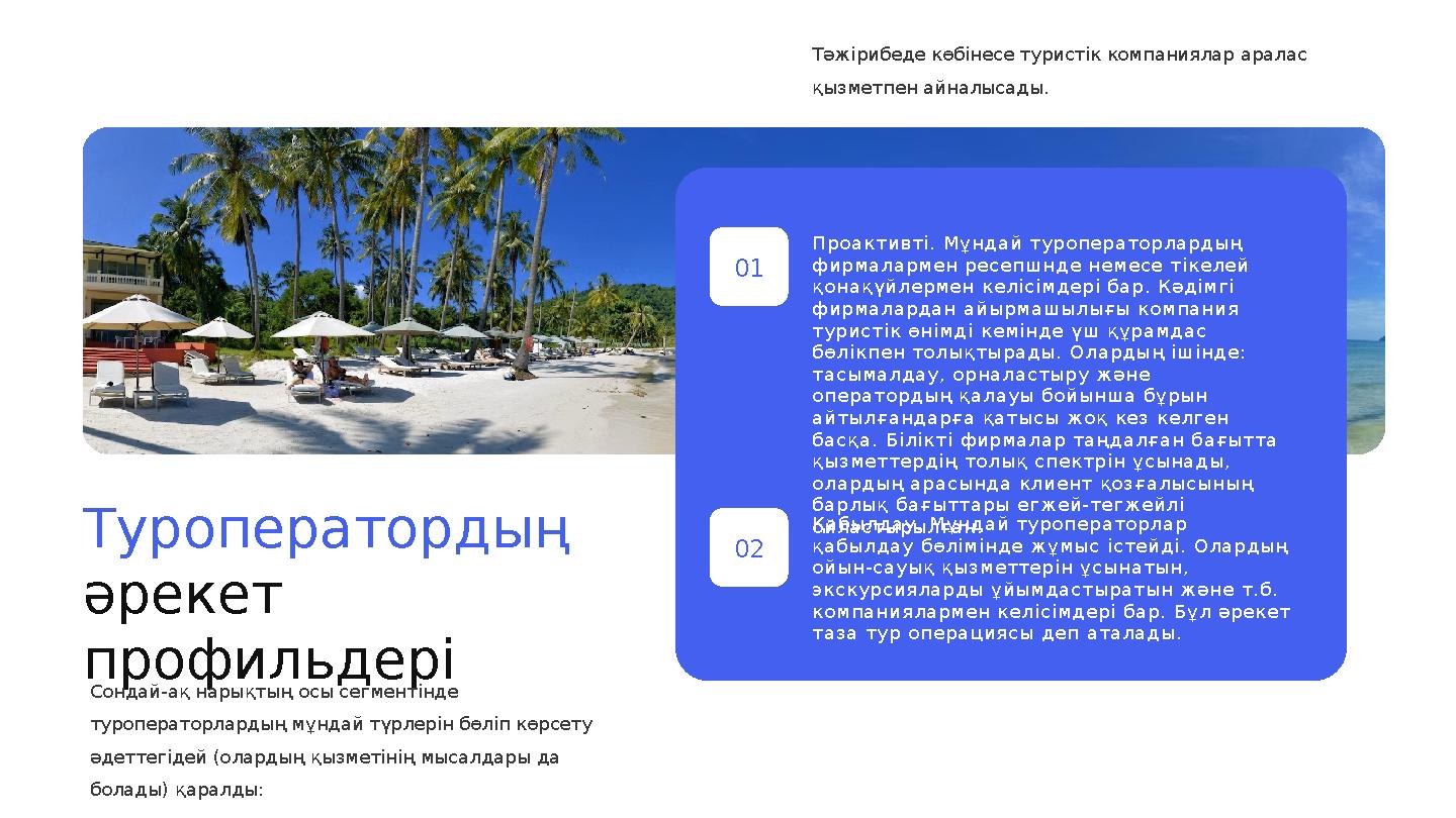 Туроператордың әрекет профильдері Сондай-ақ нарықтың осы сегментінде туроператорлардың мұндай түрлерін бөліп көрсету әдетте