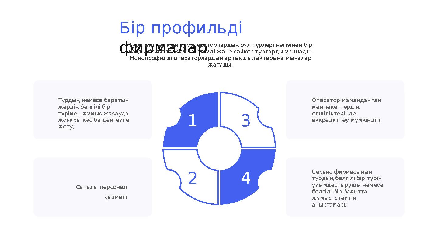 Бір профильді фирмалар Турогенттер мен туроператорлардың бұл түрлері негізінен бір нақты бағытта жұмыс істейді және сәйкес тур