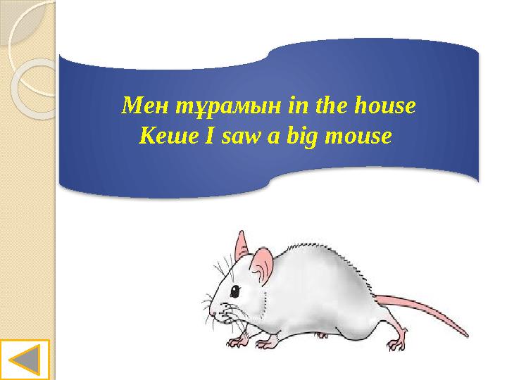 Мен тұрамын in the house Кеше I saw a big mouse