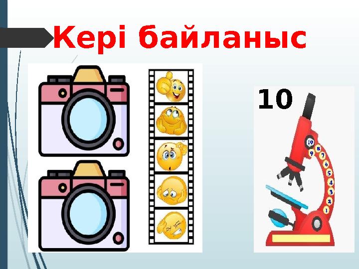 Кері байланыс 10