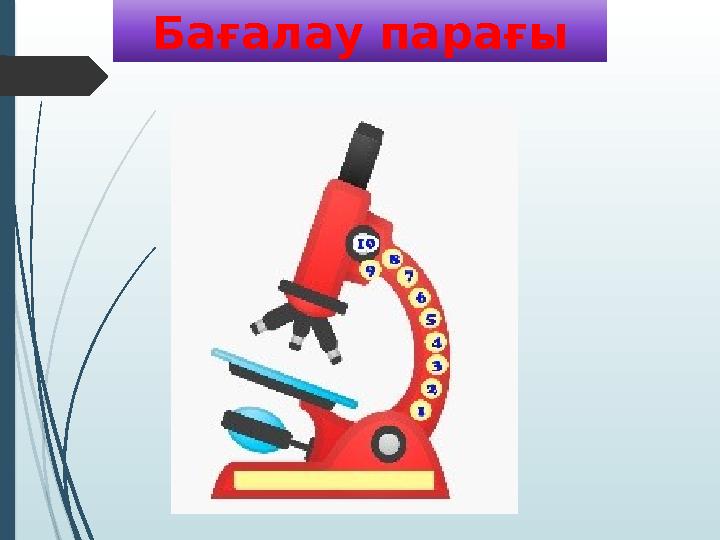 Бағалау парағы