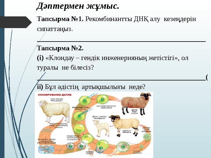 Дәптермен жұмыс. Тапсырма №1. Рекомбинантты ДНҚ алу кезеңдерін сипаттаңыз. ________________________________________________