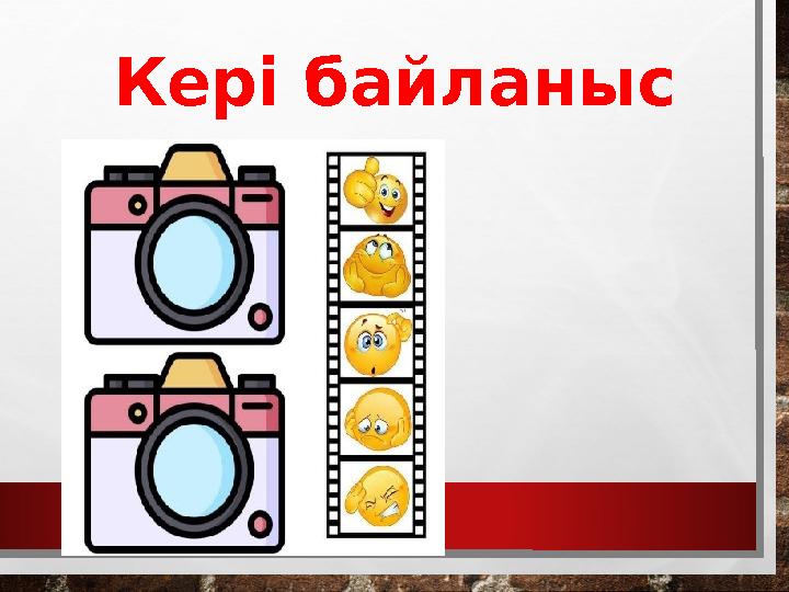 Кері байланыс