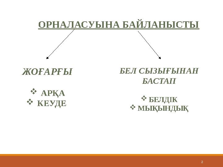 2ОРНАЛАСУЫНА БАЙЛАНЫСТЫ ЖОҒАРҒЫ  АРҚА  КЕУДЕ БЕЛ СЫЗЫҒЫНАН БАСТАП  БЕЛДІК  МЫҚЫНДЫҚ