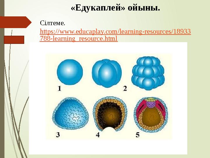 «Едукаплей» ойыны. Сілтеме. https://www.educaplay.com/learning-resources/18933 788-learning_resource.html