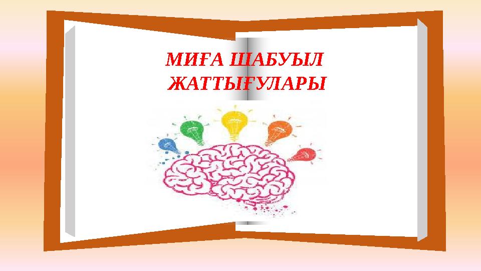 МИҒА ШАБУЫЛ ЖАТТЫҒУЛАРЫ