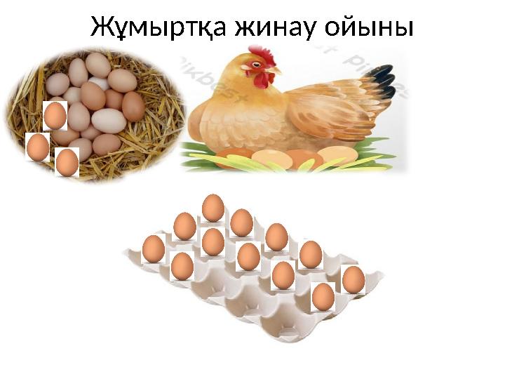 Жұмыртқа жинау ойыны