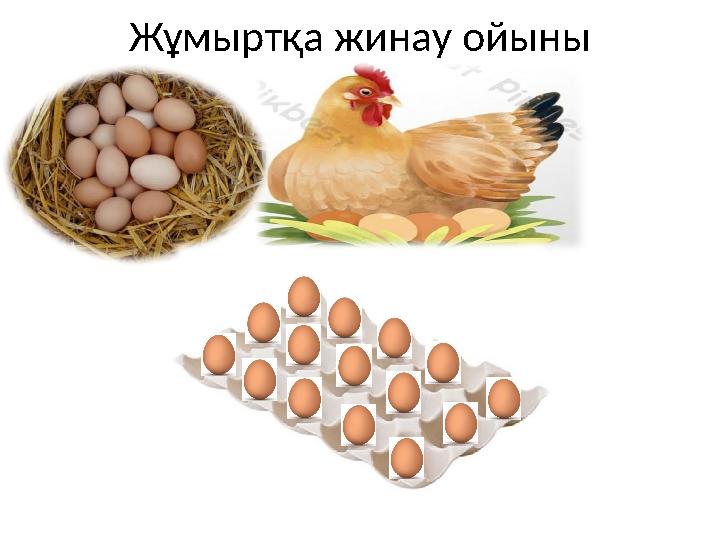 Жұмыртқа жинау ойыны