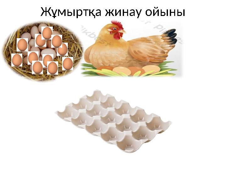 Жұмыртқа жинау ойыны