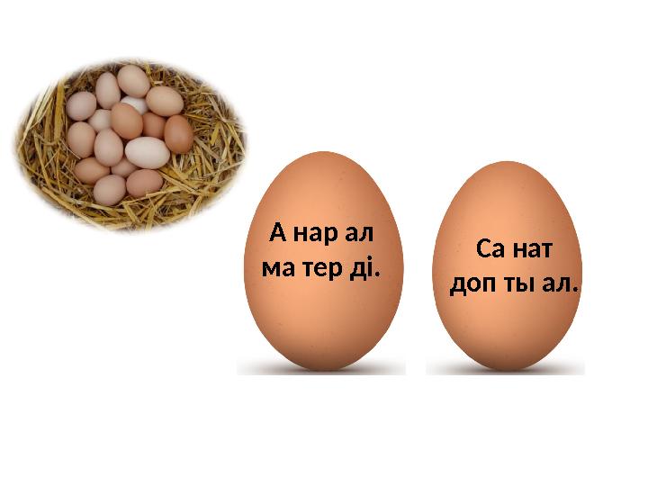 А нар ал ма тер ді. Са нат доп ты ал.