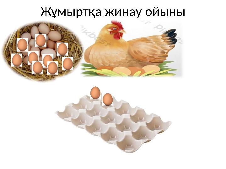 Жұмыртқа жинау ойыны