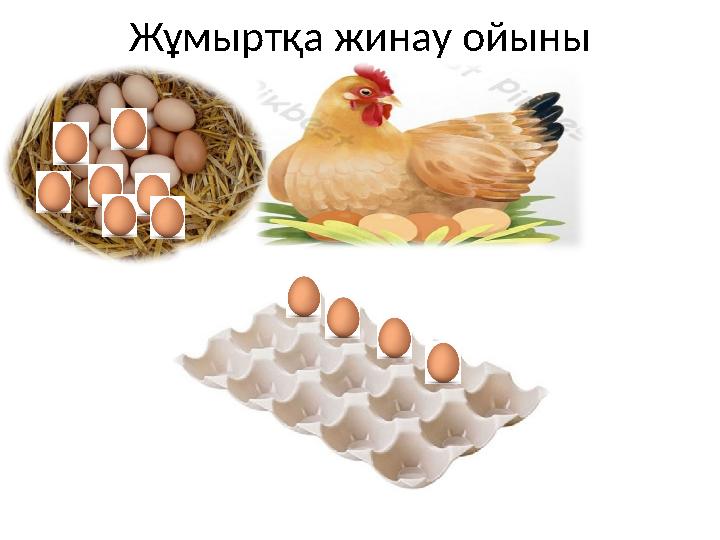 Жұмыртқа жинау ойыны