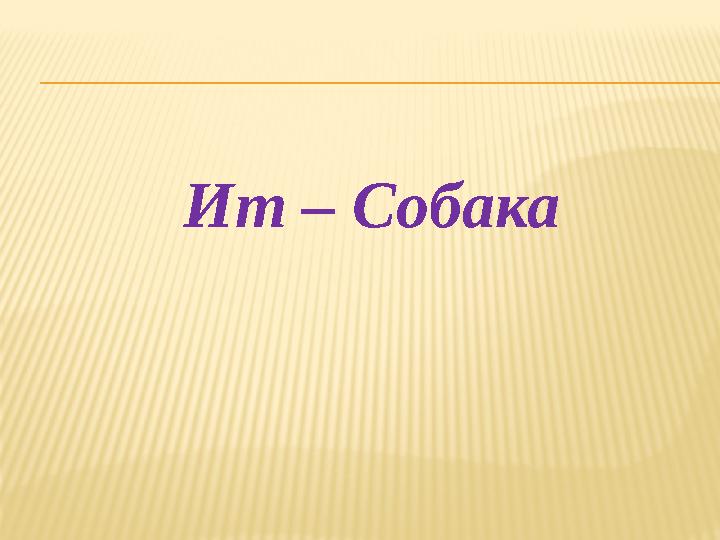 Ит – Собака