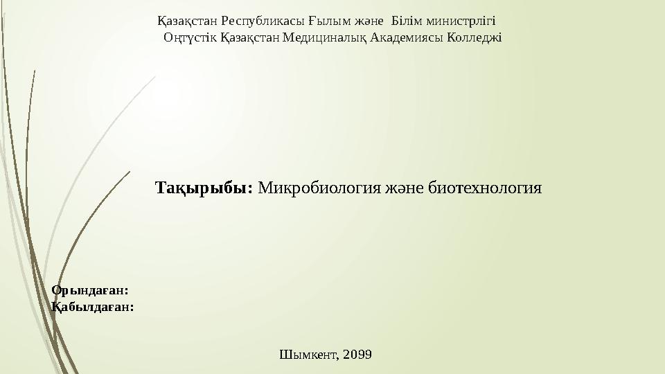 Микробикинидегі орыс әйелі