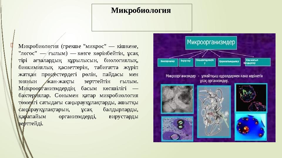Микробиология  Микробиология (грекше "микрос" — кішкене, "логос" — ғылым) — көзге көрінбейтін, ұсақ тірі ағзалард