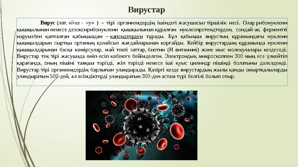 Вирустар Вирус (лат. vīrus - « у» ) – тірі организмдердің ішіндегі жасушасыз тіршілік иесі. Олар ри