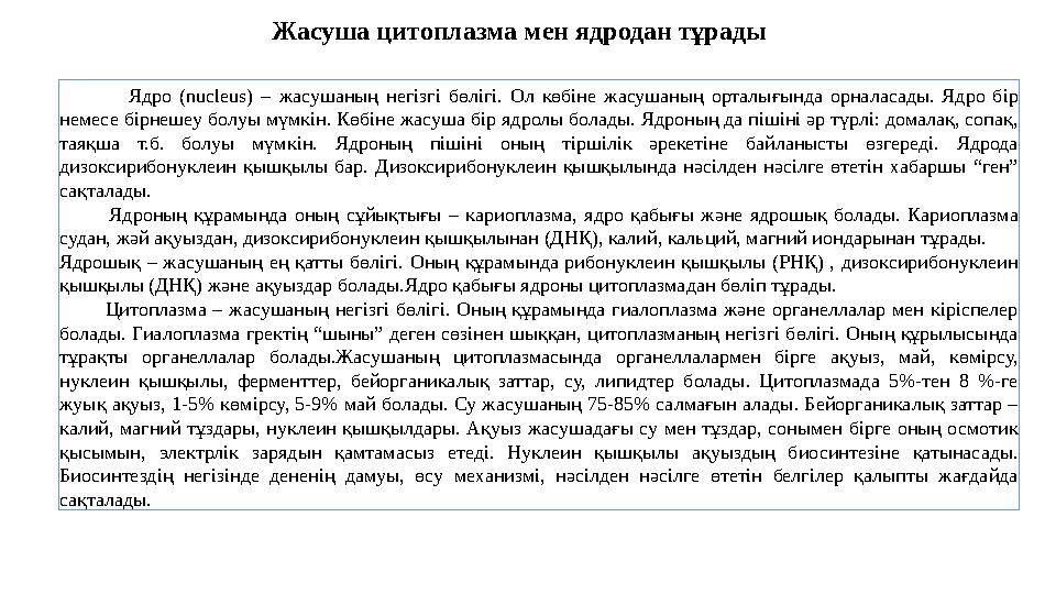 Жасуша цитоплазма мен ядродан тұрады Ядро ( nucleus) – жасушаның негізгі бөлігі. Ол көбіне жасушаның