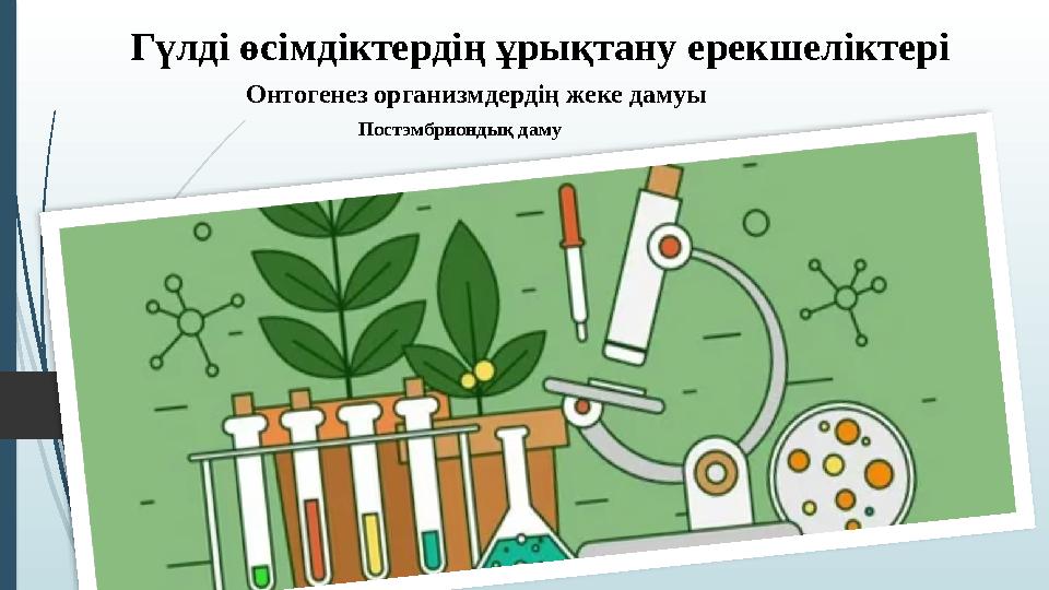 Үйде шыршаның жанында жалаңаш қыз