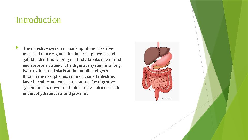 Introduction  The digestive system is made up of the digestive tract and other organs like the liver, pancreas and gall blad