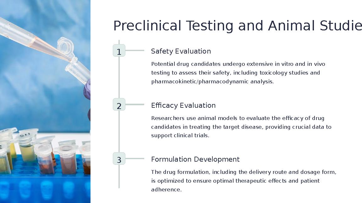 Preclinical Testing and Animal Studies 1 Safety Evaluation Potential drug candidates undergo extensive in vitro and in vivo tes