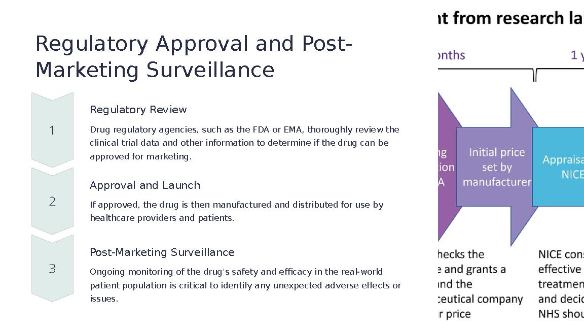 Regulatory Approval and Post- Marketing Surveillance Regulatory Review Drug regulatory agencies, such as the FDA or EMA, thoroug