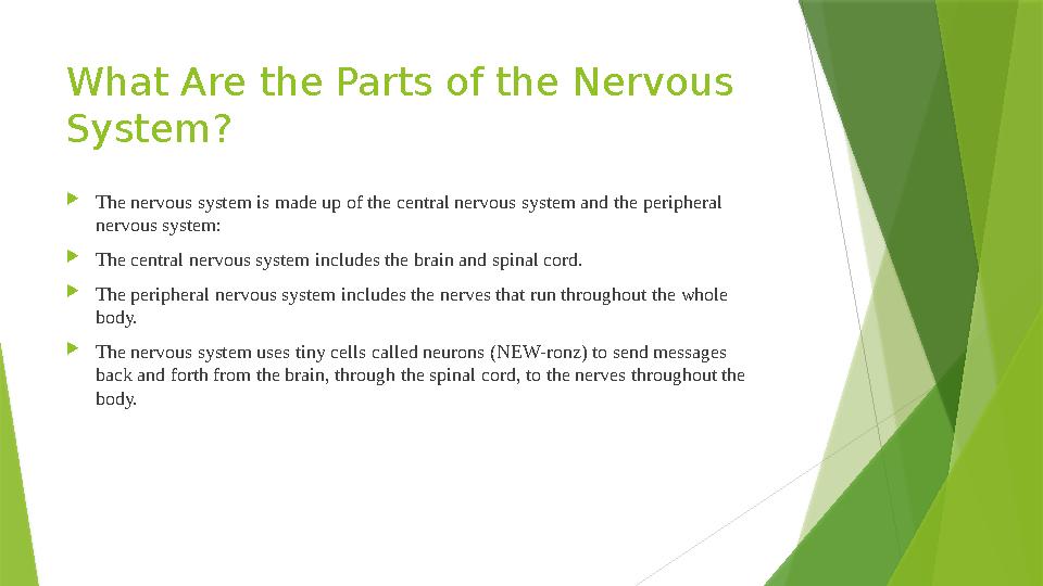 What Are the Parts of the Nervous System?  The nervous system is made up of the central nervous system and the peripheral ner