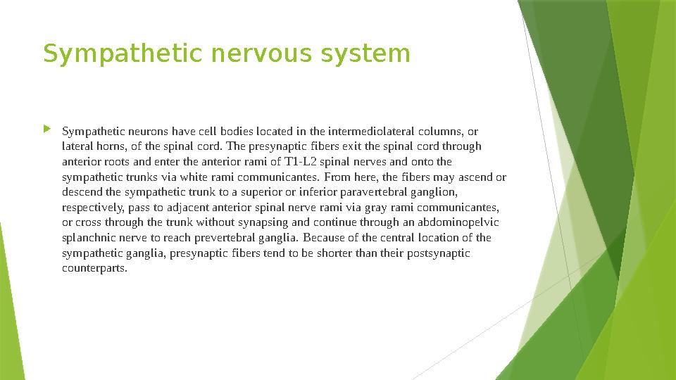 Sympathetic nervous system  Sympathetic neurons have cell bodies located in the intermediolateral columns, or lateral horns,