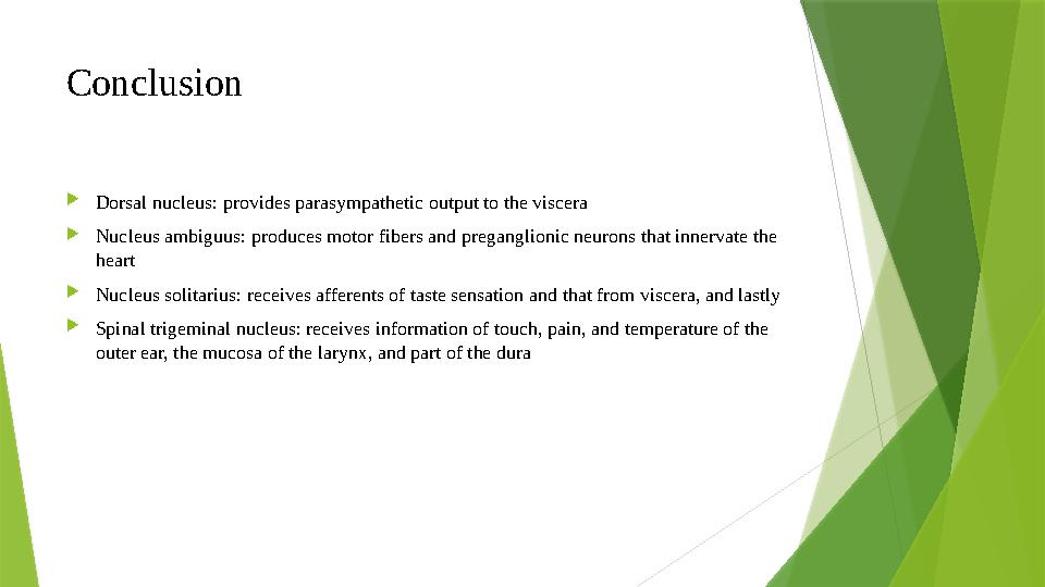 Conclusion  Dorsal nucleus: provides parasympathetic output to the viscera  Nucleus ambiguus: produces motor fibers and prega