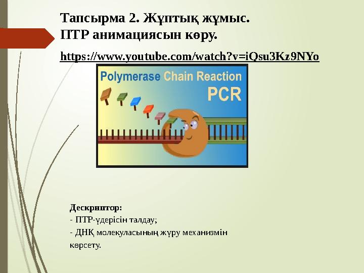 https://www.youtube.com/watch?v=iQsu3Kz9NYo Тапсырма 2. Жұптық жұмыс. ПТР анимациясын көру. Дескриптор: - ПТР-үдерісін тал