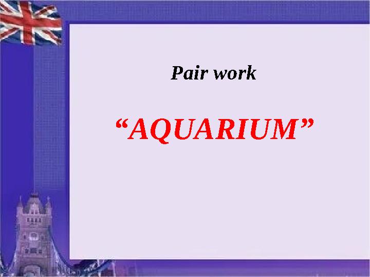 Pair work “ AQUARIUM”