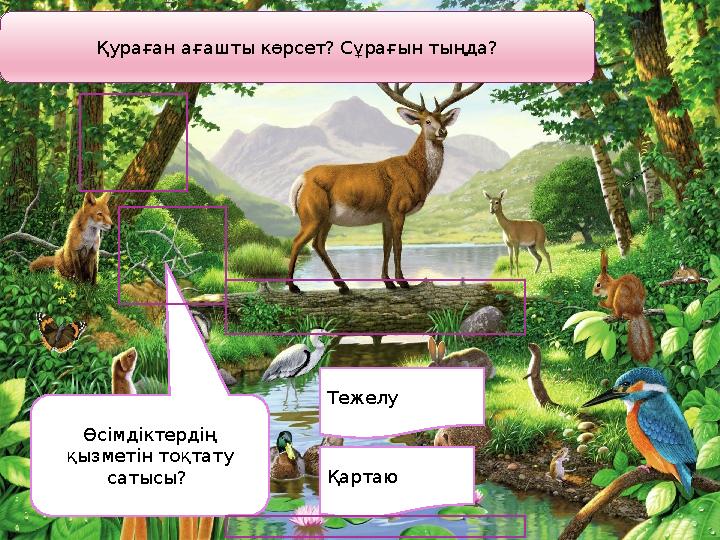 Қураған ағашты көрсет? Сұрағын тыңда? Өсімдіктердің қызметін тоқтату сатысы? Қартаю Тежелу