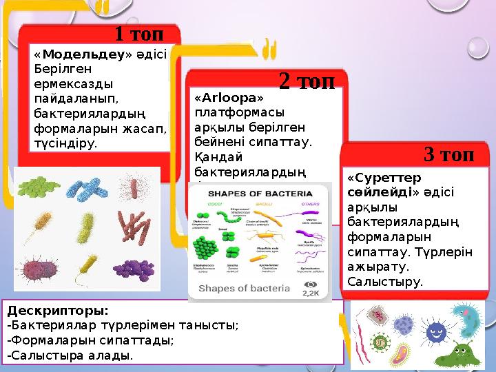 1 топ Дескрипторы: -Бактериялар түрлерімен танысты; -Формаларын сипаттады; -Салыстыра алады. «Модельдеу» әдісі. Берілген ерме