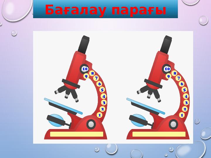 Бағалау парағы