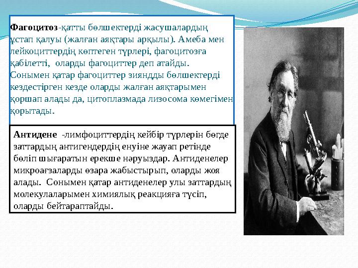 Фагоцитоз -қатты бөлшектерді жасушалардың ұстап қалуы (ж алған аяқтары арқылы ). Амеба мен лейкоциттердің көптеген түрлері, ф