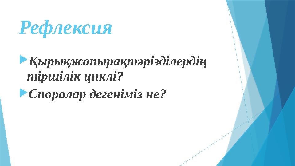 Рефлексия  Қырықжапырақтәрізділердің тіршілік циклі?  Споралар дегеніміз не?