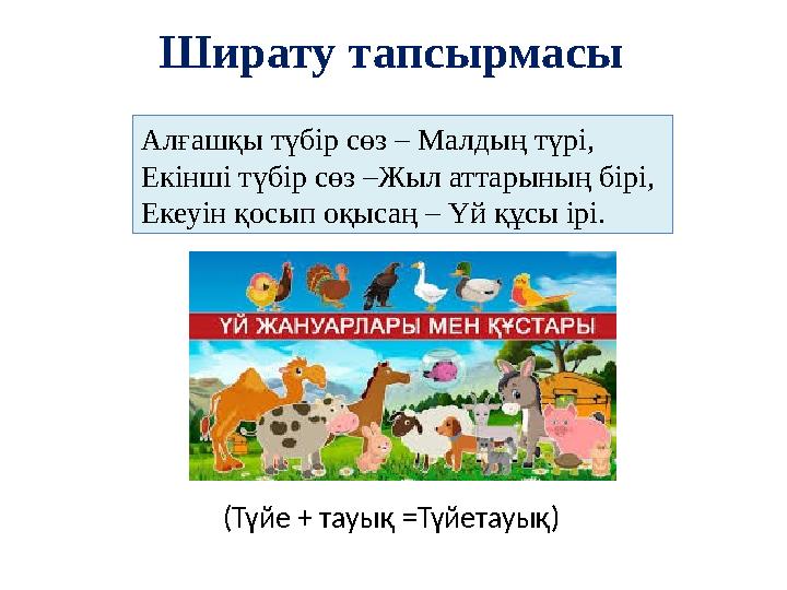 Ширату тапсырмасы Алғашқы түбір сөз – Малдың түрі, Екінші түбір сөз –Жыл аттарының бірі, Екеуін қосып оқысаң – Үй құсы ірі. (Т