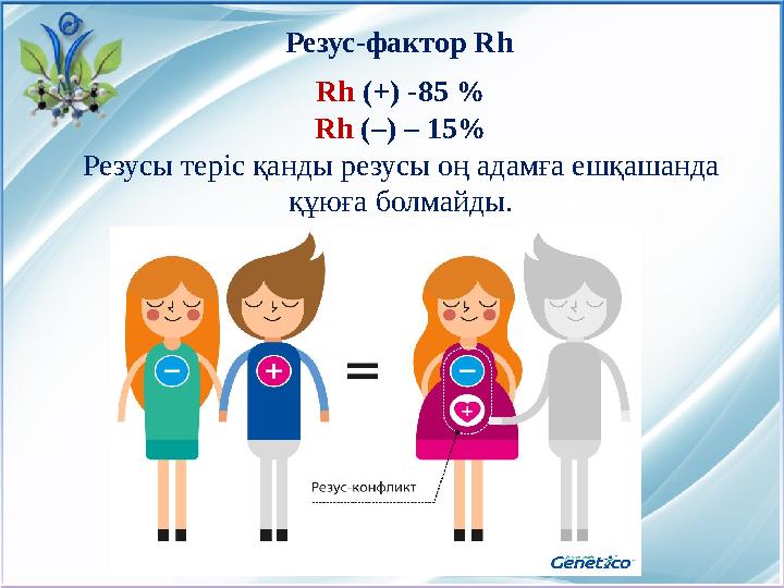 Rh ( + ) -85 % Rh ( – ) – 15% Резусы теріс қанды резусы оң адамға ешқашанда құюға болмайды.Резус-фактор Rh