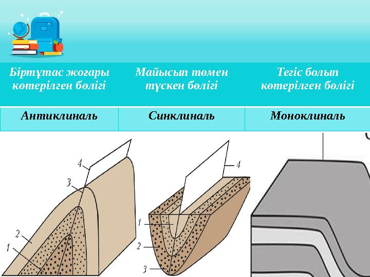 Біртұтас жоғары көтерілген бөлігі Майысып төмен түскен бөлігі Тегіс болып көтерілген бөлігі Антиклиналь Синклиналь Моноклинал