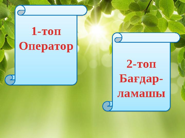 1-топ Оператор 2-топ Бағдар- ламашы