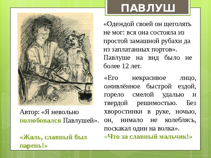 ПАВЛУШ А «Одеждой своей он щеголять не мог: вся она состояла из простой замашной рубахи да из заплатанных портов». Павлуше н