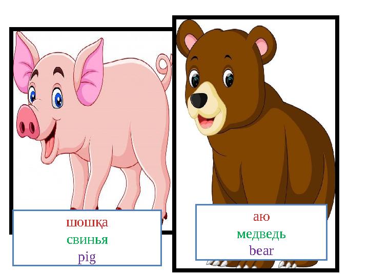 шошқа свинья pig аю медведь bear