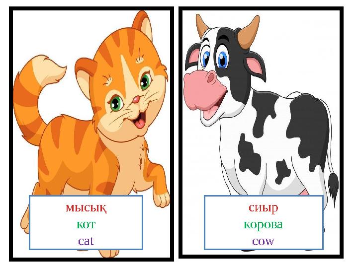 мысық кот cat сиыр корова cow