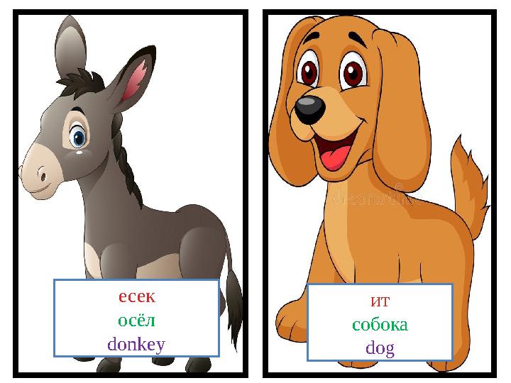 ит собока dogесек ос ёл donkey