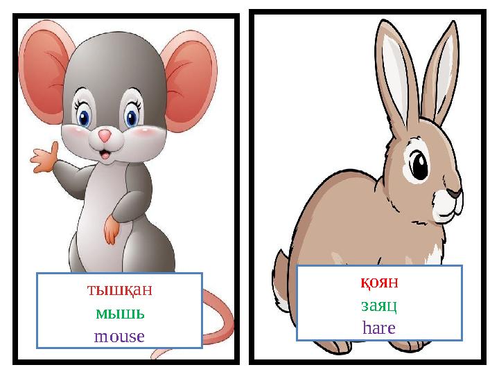 тышқан мышь mouse қоян заяц hare