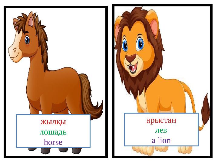 жылқы лошадь horse арыстан лев a lion