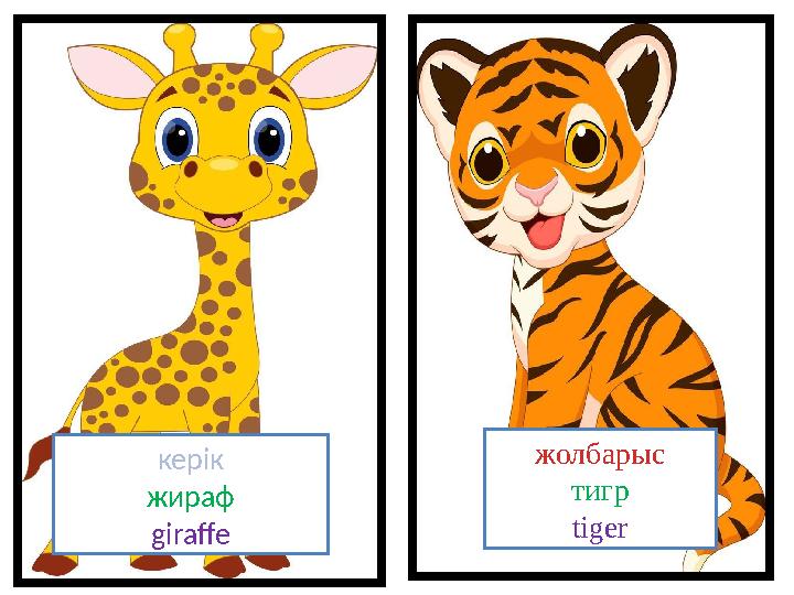 керік жираф giraffe жолбарыс тигр tiger