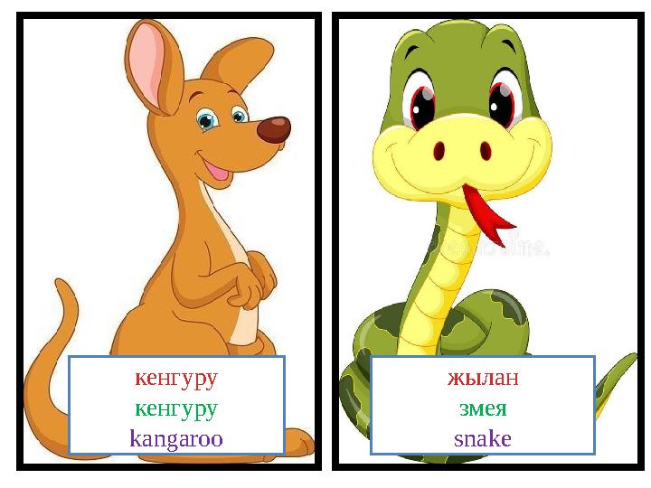 кенгуру кенгуру kangaroo жылан змея snake