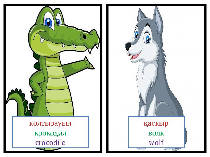 қолтырауын крокодил crocodile қасқыр волк wolf