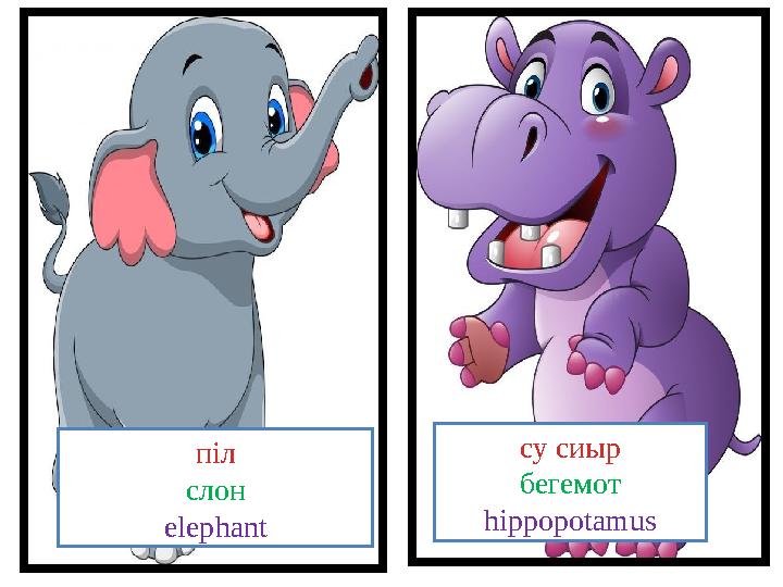 піл слон elephant су сиыр бегемот hippopotamus