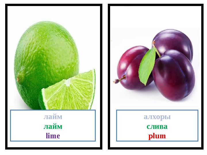 лайм лайм lime алхоры слива plum